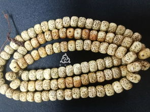 凤眼是什么植物类别