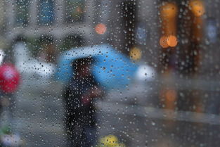 遮风挡雨的近义词，遮风挡雨下一句押韵