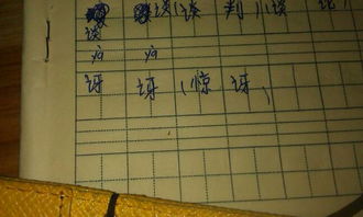 讶怎么组词语，惊讶的讶怎么组词