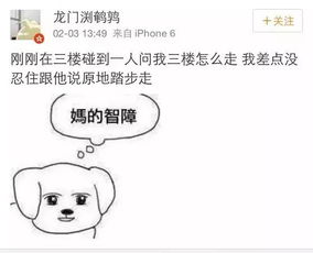 智障的学术名称叫什么?