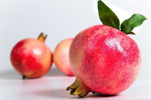 石榴英文怎么读 石榴英文是什么