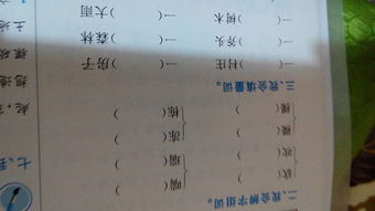 饥饿的饥的组词