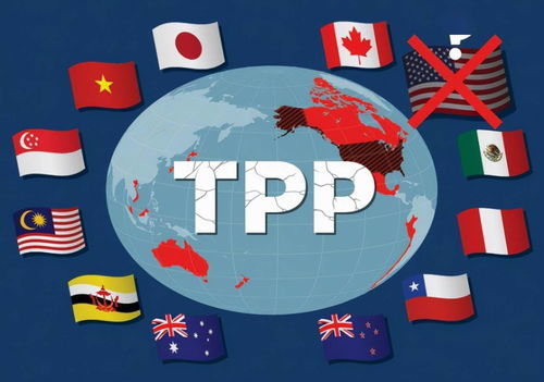 和睦相处的意思是什么，毛遂自荐什么意思