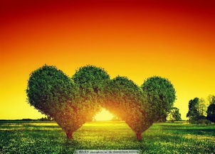 刘德华歌曲 心雨歌词