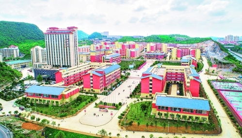 贵州人文科技学院有什么专业