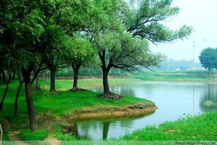 描写茌平天气的英语作文