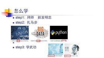 百度联盟里的广告投放的是谁的广告?