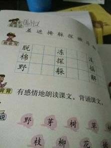 遮怎么组词组