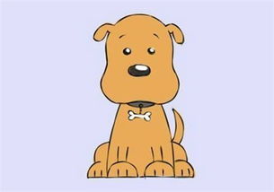 属猴的多大年龄，属猪的多大年龄