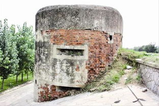 汉口张公提有槐树吗