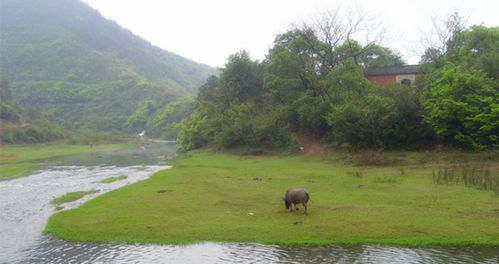 广西未来几天天气预报