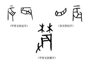 蓐什么意思?近义词和反义词是什么?英文翻译是什么?