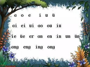 复韵母9个读法教学视频，复韵母9个声调的标法