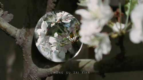 镜花水月是什么意思