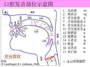 疖读什么音