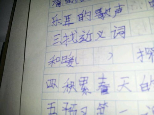 整齐的近义词是什么 标准答案，整齐的近义词是什么 四年级