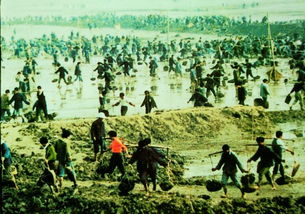 围垦是什么意思