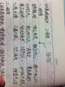 好字四字成语