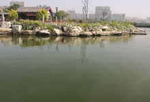 茌平天气预报30天查询，茌平天气预报一周7天