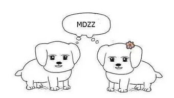 ..妈的 是什么意思啊