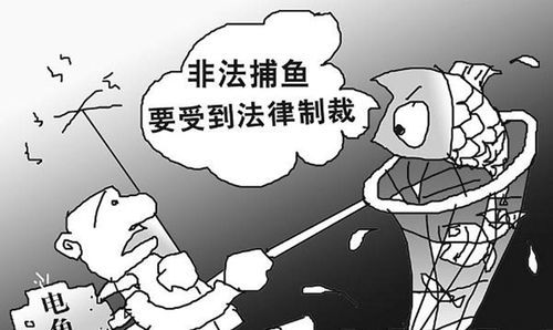 令行禁止的意思是什么