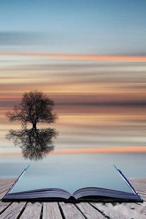 舣字拼音怎么读