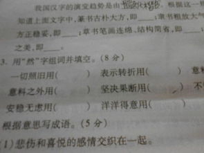 玩可以组什么词 玩的组词