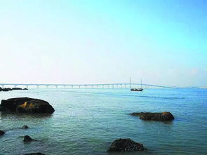 襄阳九洲岛第四代庭院房楼盘地址在哪里?