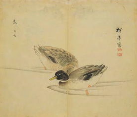 翙翙其羽的真正意思