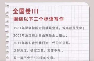 2019山东高考满分作文 满分作文解析
