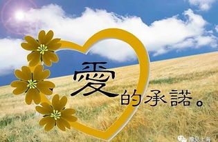 爱的承诺句子