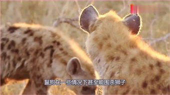 动物学专业学什么