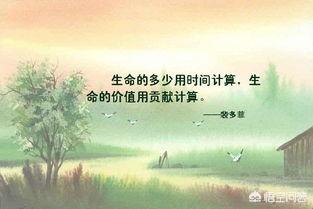 “萤火虫萤火虫满天飞···”这首歌歌名叫什么