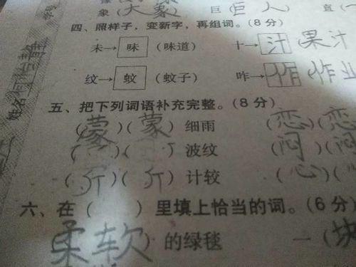 纹的组词有哪些?