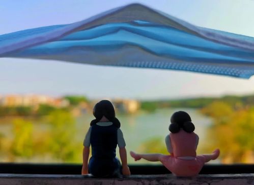 遮风挡雨的意思是什么