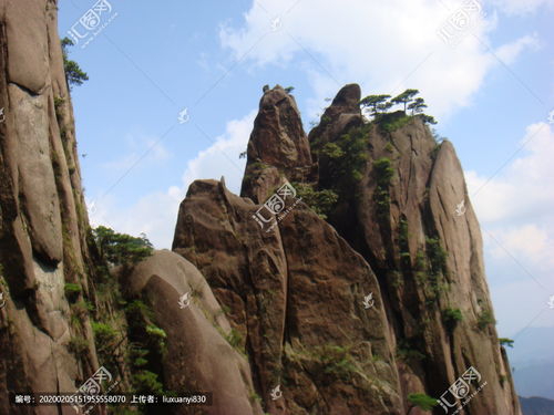 峭壁的意思