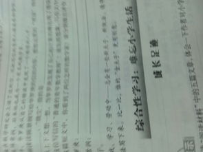 舍本逐末的意思是什么?