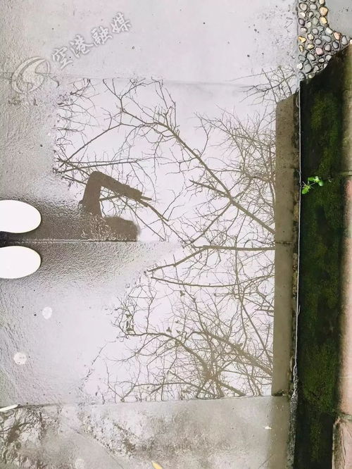 下雨的时候歌曲原唱