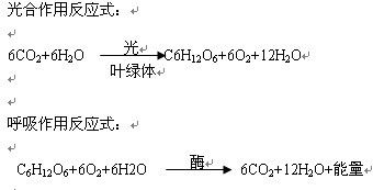 光合作用的公式