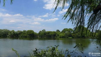 一梦江湖小瀛洲怎么进