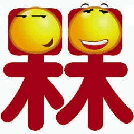 槑怎么读 槑的正确发音及意义解析?