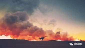 求古文翻译"向使三国各爱其地"