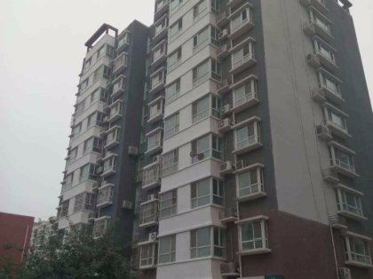 吕泽龙名字寓意