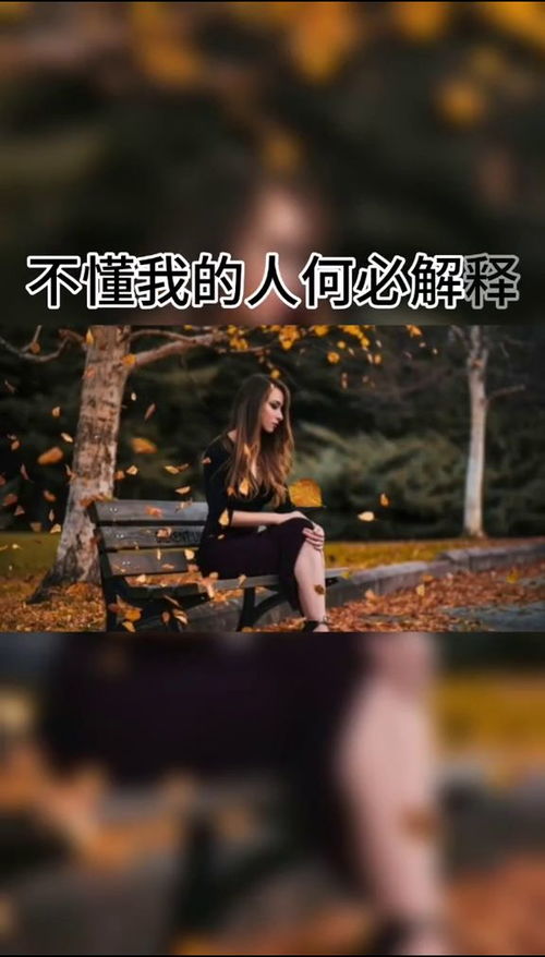 懂我的人不需要解释,不懂我的人，懂我的人在哪简谱