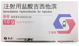 吉西他滨有无纳入湛江医保