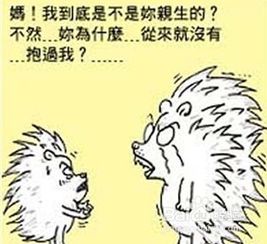 圣经上法则什么意思