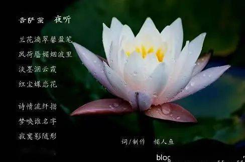 朝中措(汤词)原文_翻译及赏析