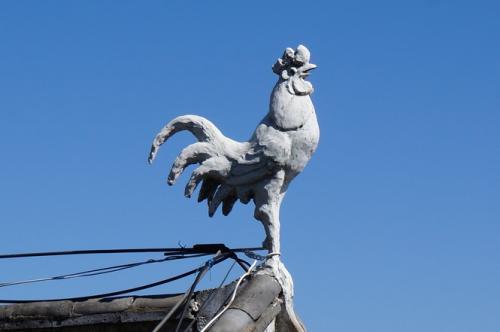 金鸡独立什么意思 姿势，金鸡独立什么意思,打一生肖