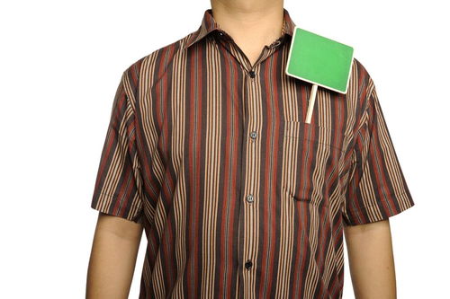 蓖麻怎么读拼音，蓖麻怎么读音读出来