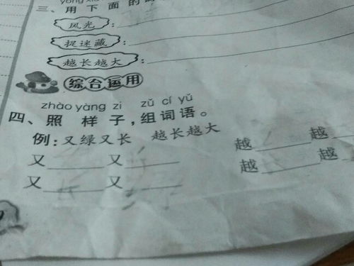 籽可以组什么词